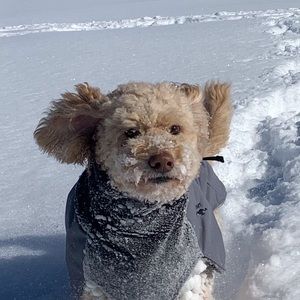 Meet your Posher, Leah